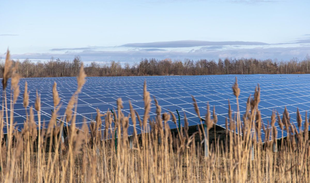 Tracker solaire agricole : ce qu'il faut savoir avant de se lancer